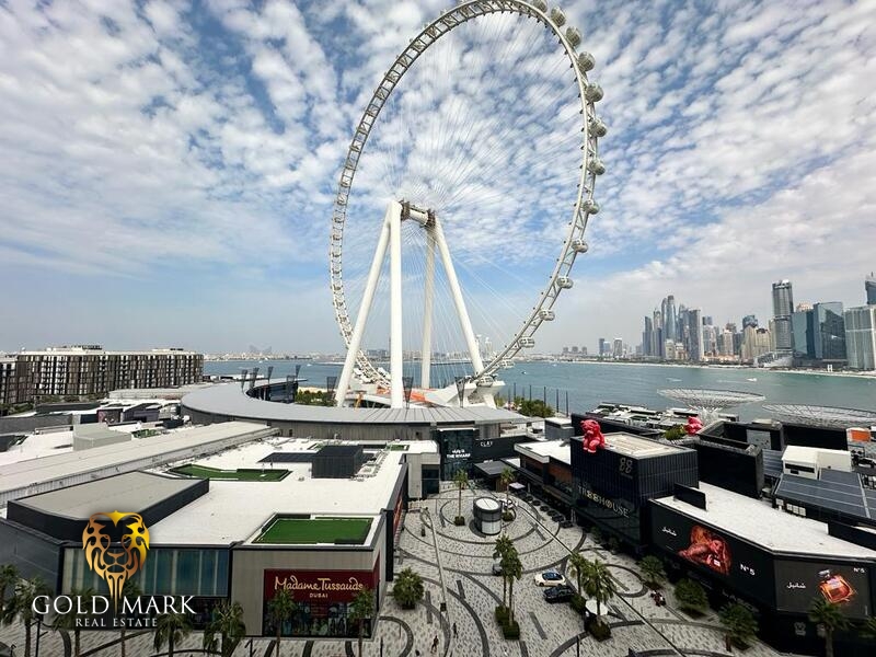 Ain Dubai View |High Floor |Vacant |View Today